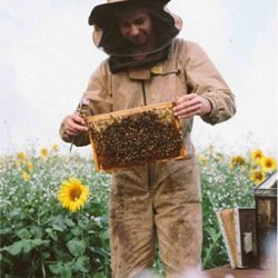 honey honey
